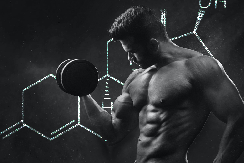 How Does Testosterone Help Build Muscle?