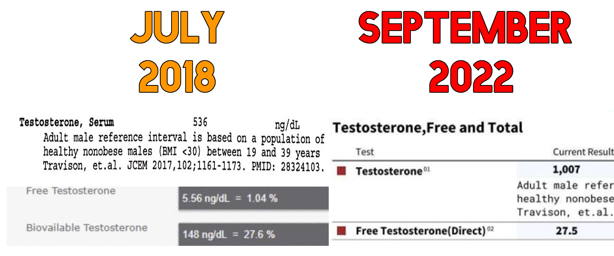 testosterone serum