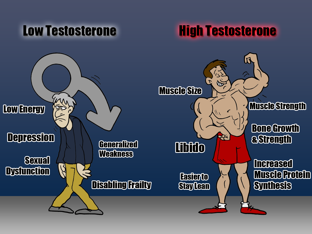 low testosterone high testosterone