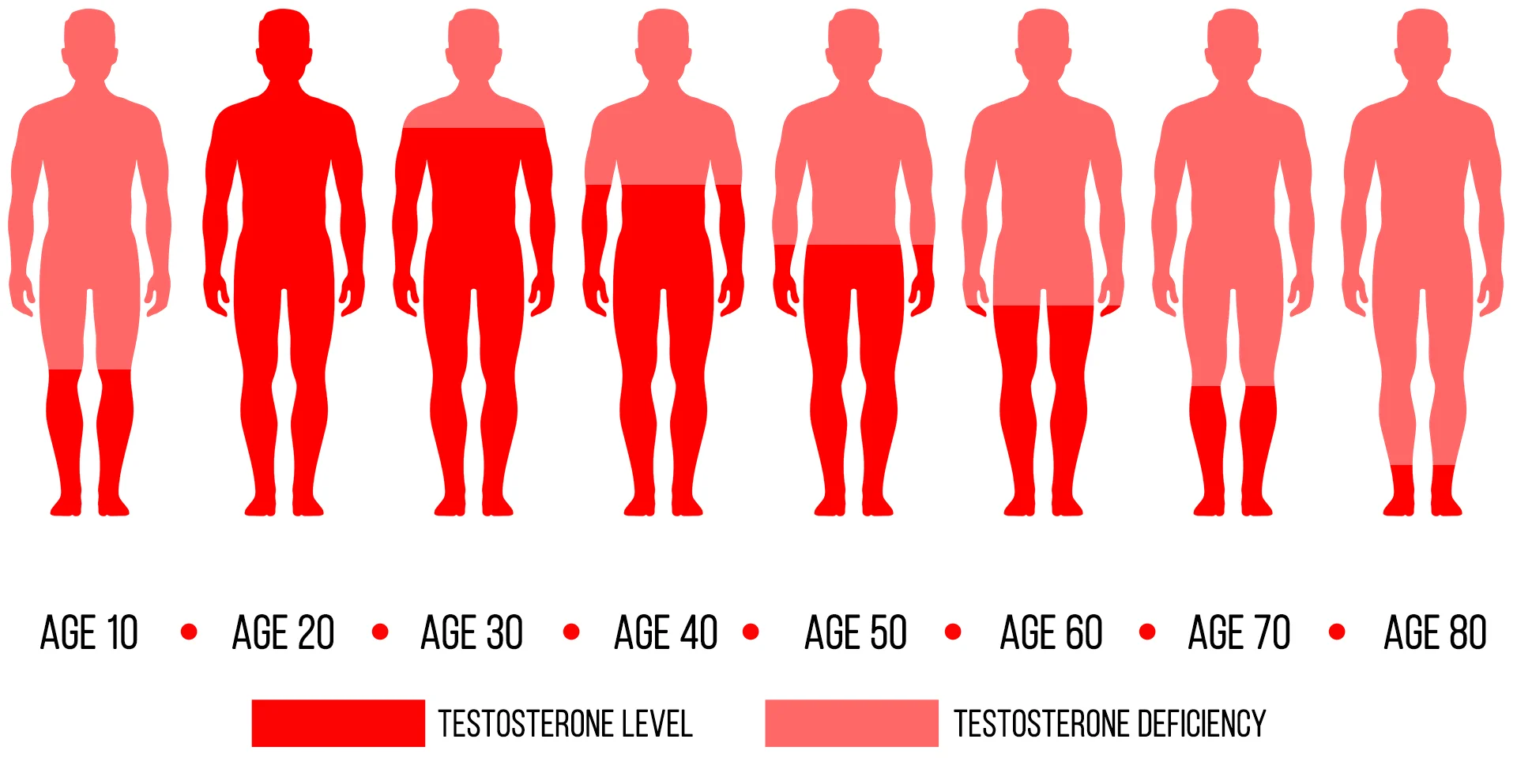 testostrone-level